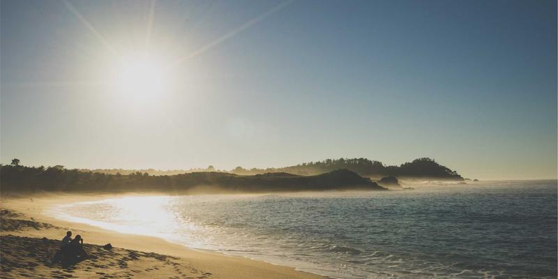 从金花园到城市绿洲：构建园林绿化后评估体系，量化生态、社会与经济三重价值