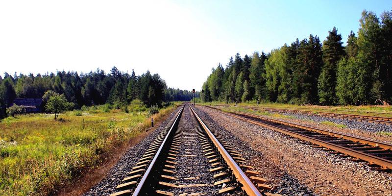 从金花园看园林养护标准化:植物配置的艺术与绩效管理的科学