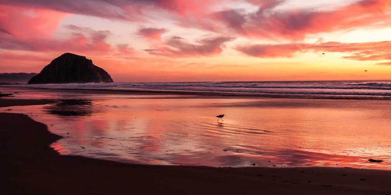 从金花园看未来:构建园林绿化项目的三维后评估体系