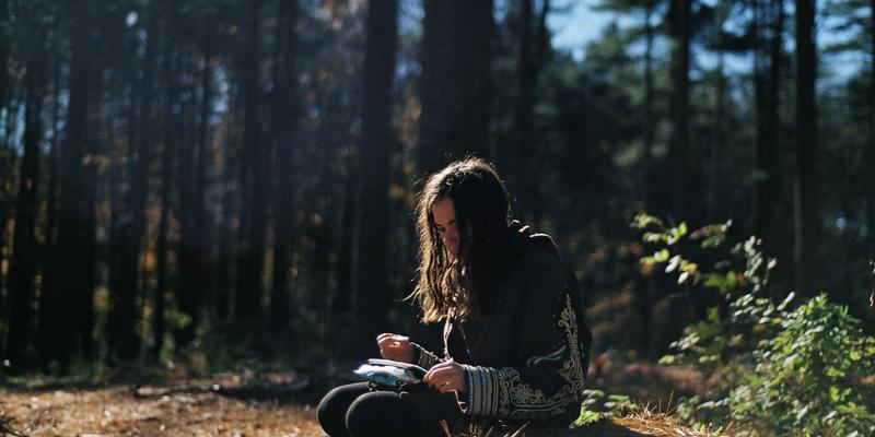 城市公园四季皆景的秘诀：科学配置绿化植物与景观营造全攻略