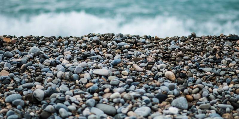 打造您的金花园:节水型智能灌溉系统设计与园艺养护全攻略